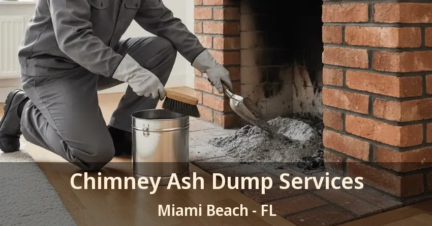 Chimney Ash Dump Services Miami Beach - FL