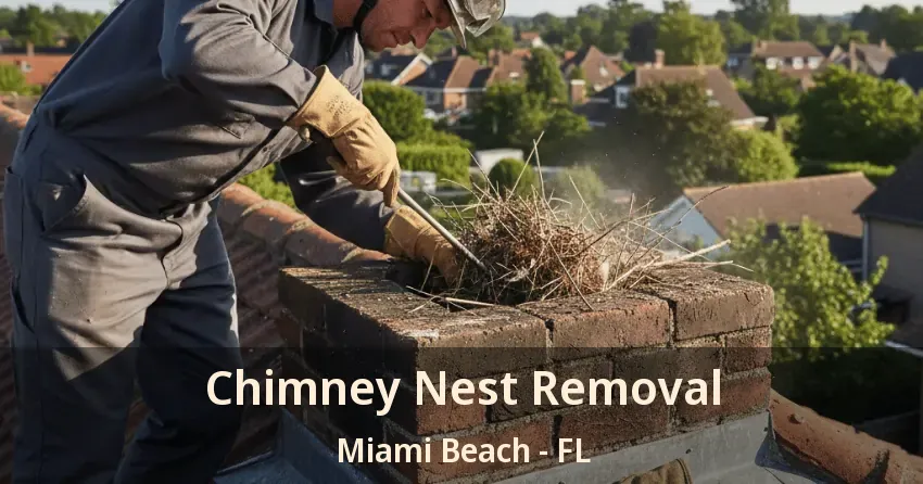 Chimney Nest Removal Miami Beach - FL
