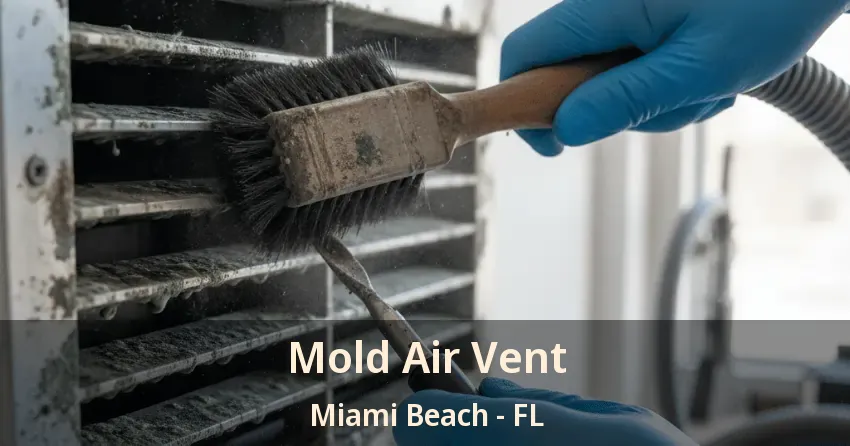 Mold Air Vent Miami Beach - FL