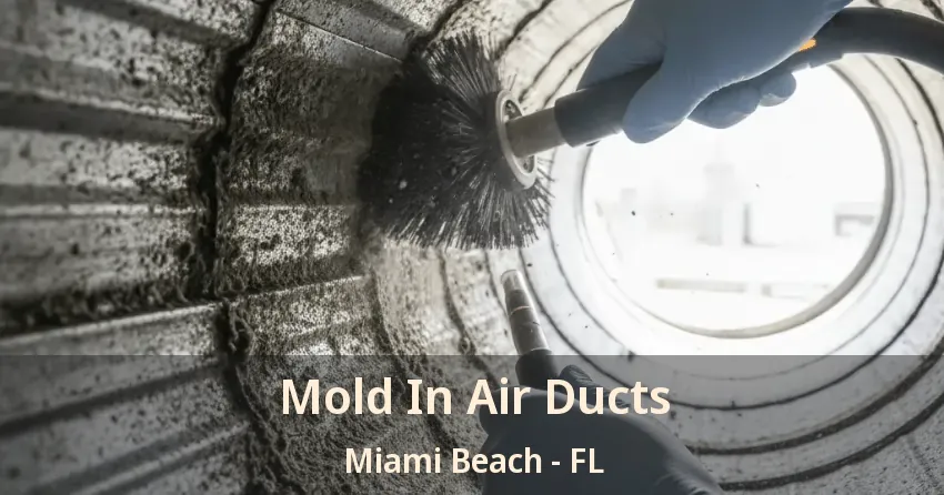 Mold In Air Ducts Miami Beach - FL