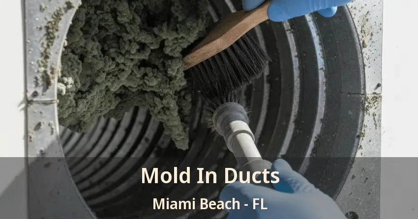Mold In Ducts Miami Beach - FL Mold In Ducts Miami Beach - FL