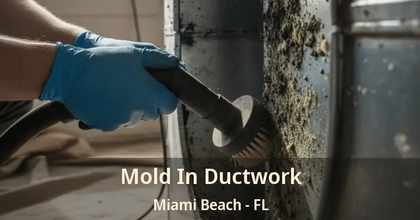 Mold In Ductwork Miami Beach - FL