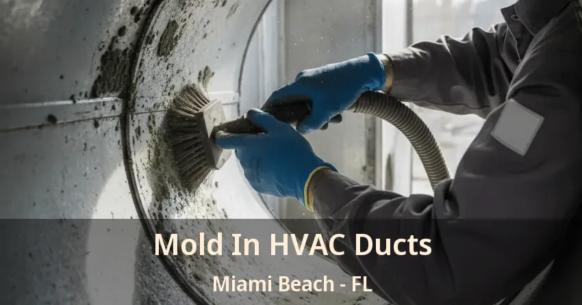 Mold In HVAC Ducts Miami Beach - FL
