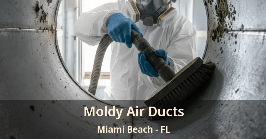 Moldy Air Ducts Miami Beach - FL Moldy Air Ducts Miami Beach - FL